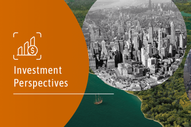 Investment Perspectives: Safehold