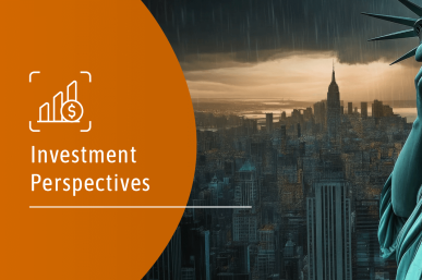 Investment Perspectives